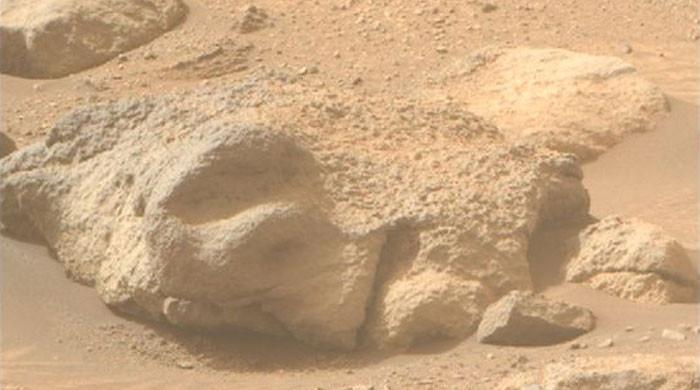 Human face or Martian rock? Spooky still leaves scientists scratching their heads